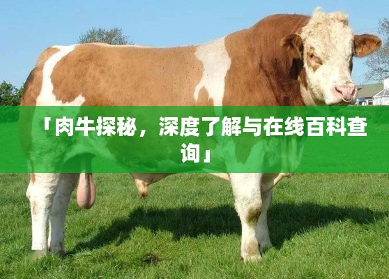 「肉牛探秘,深度了解与在线百科查询」