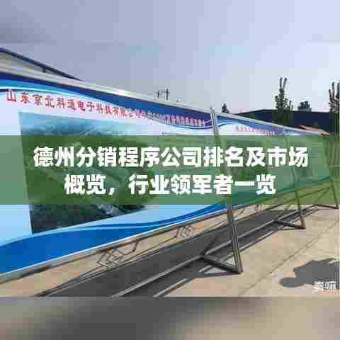 德州分销程序公司排名及市场概览,行业领军者一览