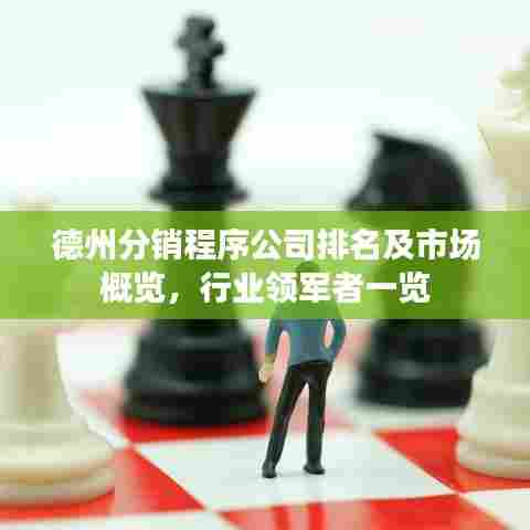 德州分销程序公司排名及市场概览，行业领军者一览