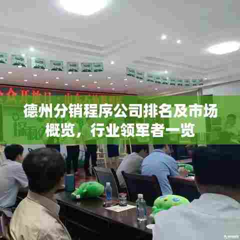 德州分销程序公司排名及市场概览,行业领军者一览