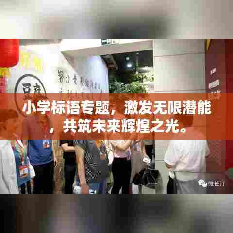 小学标语专题,激发无限潜能,共筑未来辉煌之光。