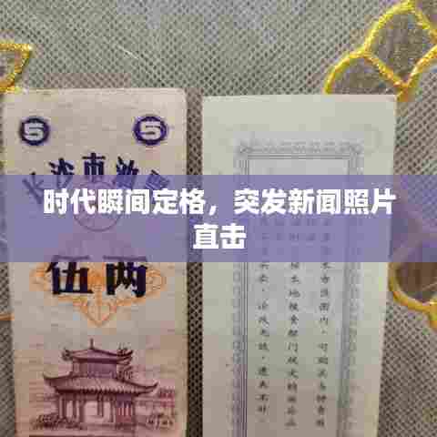 时代瞬间定格,突发新闻照片直击