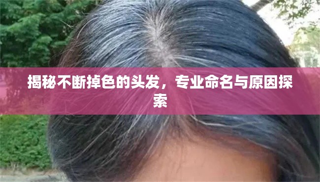 揭秘不断掉色的头发,专业命名与原因探索