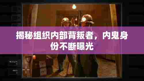 揭秘组织内部背叛者,内鬼身份不断曝光