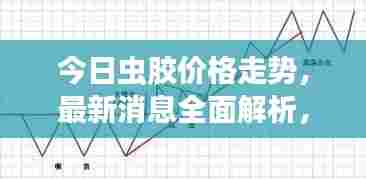 今日虫胶价格走势，最新消息全面解析，行情一目了然