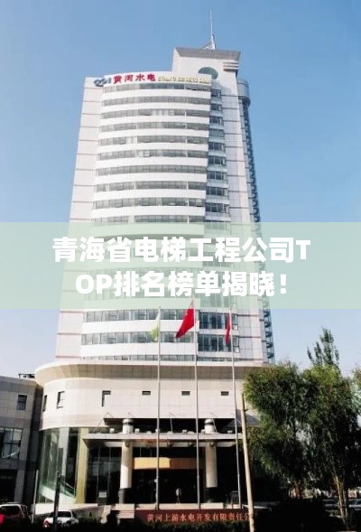 青海省电梯工程公司TOP排名榜单揭晓！