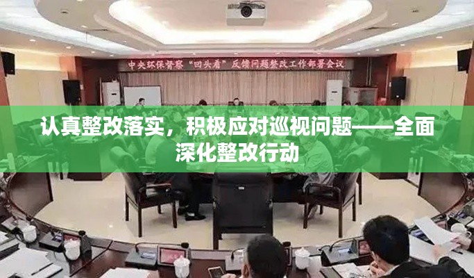 认真整改落实，积极应对巡视问题——全面深化整改行动