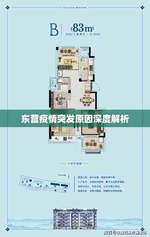 东营疫情突发原因深度解析