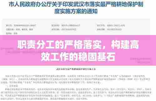 职责分工的严格落实,构建高效工作的稳固基石