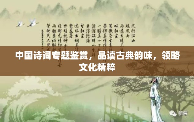 中国诗词专题鉴赏,品读古典韵味,领略文化精粹