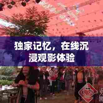 独家记忆,在线沉浸观影体验