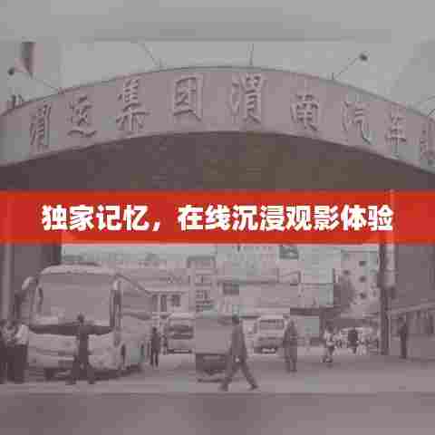 独家记忆,在线沉浸观影体验