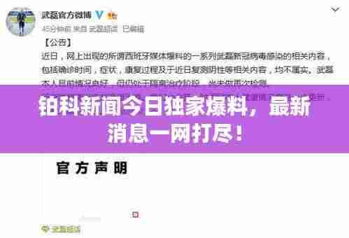 铂科新闻今日独家爆料,最新消息一网打尽!