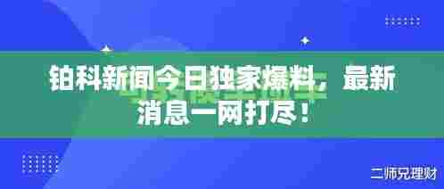 铂科新闻今日独家爆料,最新消息一网打尽!