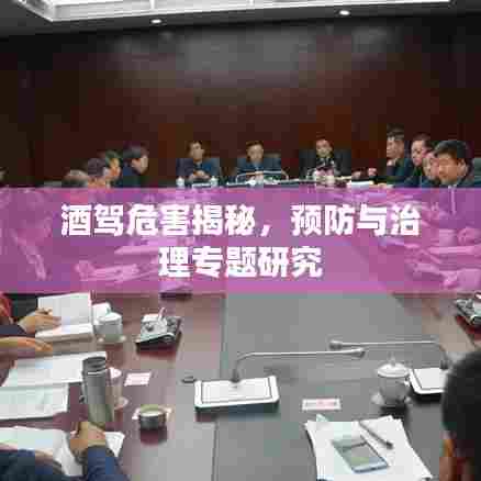 酒驾危害揭秘,预防与治理专题研究