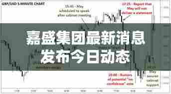 嘉盛集团最新消息发布今日动态