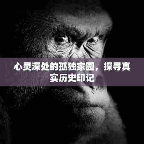 心灵深处的孤独家园,探寻真实历史印记