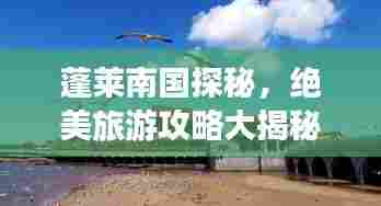 蓬莱南国探秘,绝美旅游攻略大揭秘!