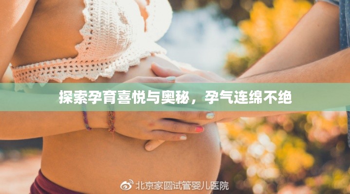 探索孕育喜悦与奥秘,孕气连绵不绝