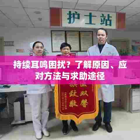 持续耳鸣困扰？了解原因、应对方法与求助途径