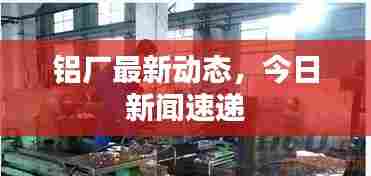 铝厂最新动态,今日新闻速递