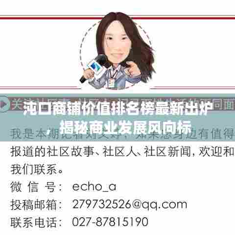 沌口商铺价值排名榜最新出炉,揭秘商业发展风向标