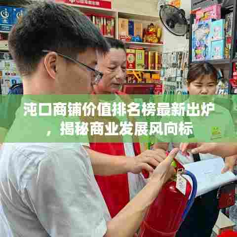沌口商铺价值排名榜最新出炉,揭秘商业发展风向标