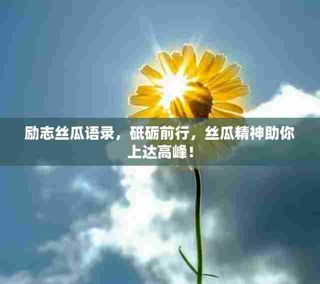 励志丝瓜语录，砥砺前行，丝瓜精神助你上达高峰！