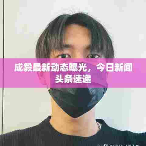 成毅最新动态曝光,今日新闻头条速递