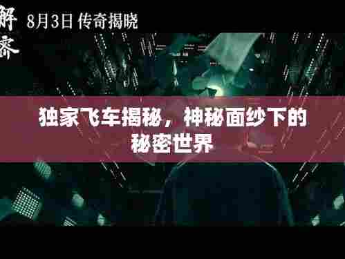独家飞车揭秘,神秘面纱下的秘密世界