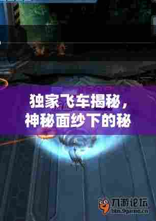 独家飞车揭秘,神秘面纱下的秘密世界