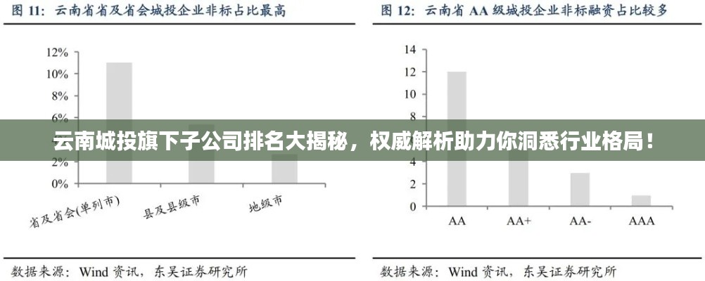 云南城投旗下子公司排名大揭秘，权威解析助力你洞悉行业格局！