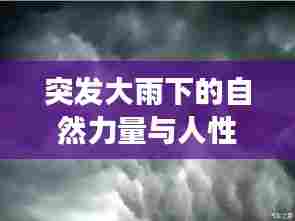突发大雨下的自然力量与人性情感交织视频展现大自然与人类情感的交融瞬间