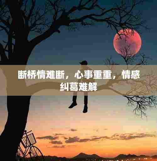 断桥情难断，心事重重，情感纠葛难解