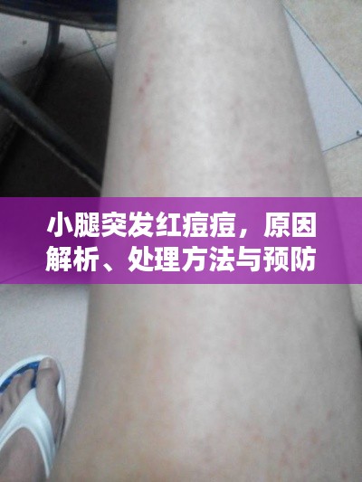 量入为出 第6页