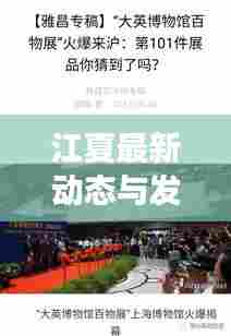 东张西望 第7页