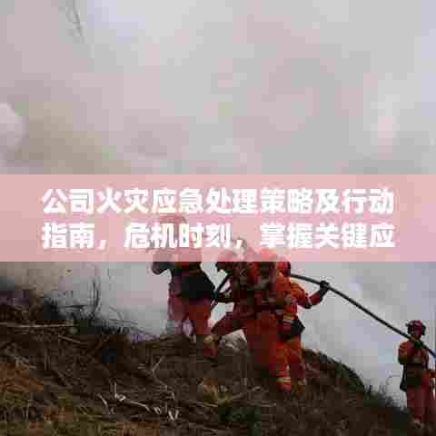 公司火灾应急处理策略及行动指南,危机时刻,掌握关键应对技巧!