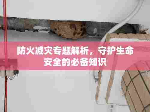 防火减灾专题解析，守护生命安全的必备知识