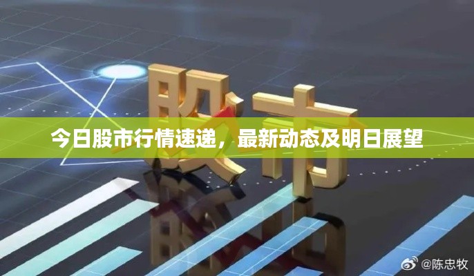 今日股市行情速递,最新动态及明日展望