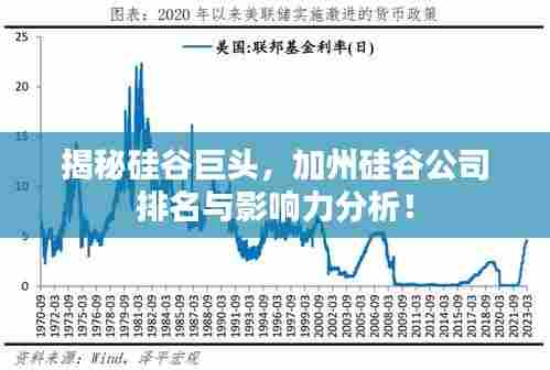 揭秘硅谷巨头，加州硅谷公司排名与影响力分析！