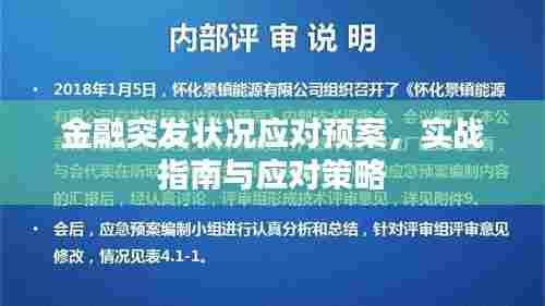 金融突发状况应对预案,实战指南与应对策略