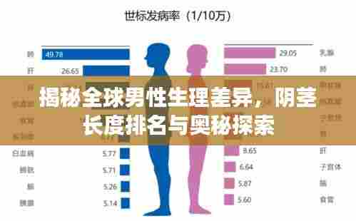 揭秘全球男性生理差异，阴茎长度排名与奥秘探索