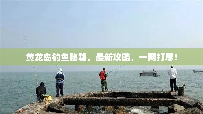 黄龙岛钓鱼秘籍,最新攻略,一网打尽!