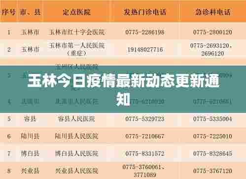 玉林今日疫情最新动态更新通知