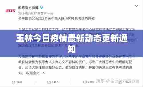 玉林今日疫情最新动态更新通知