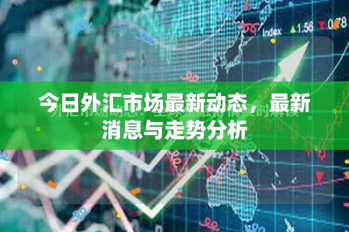 今日外汇市场最新动态,最新消息与走势分析