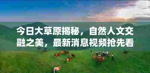 七贵三公 第6页