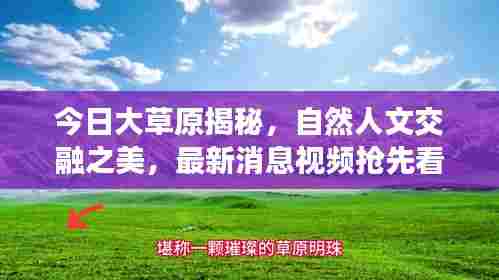 今日大草原揭秘,自然人文交融之美,最新消息视频抢先看