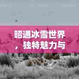 敷衍了事 第6页