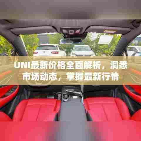 UNI最新价格全面解析,洞悉市场动态,掌握最新行情